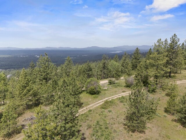 NNA N Jack Ln, Chattaroy, WA 99003 - photo 12