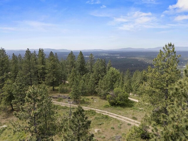 NNA N Jack Ln, Chattaroy, WA 99003 - photo 13