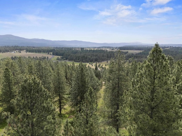 NNA N Jack Ln, Chattaroy, WA 99003 - photo 14