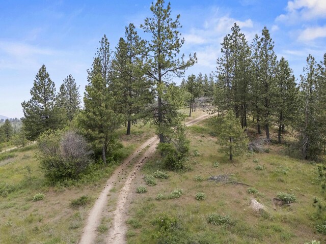 NNA N Jack Ln, Chattaroy, WA 99003 - photo 15