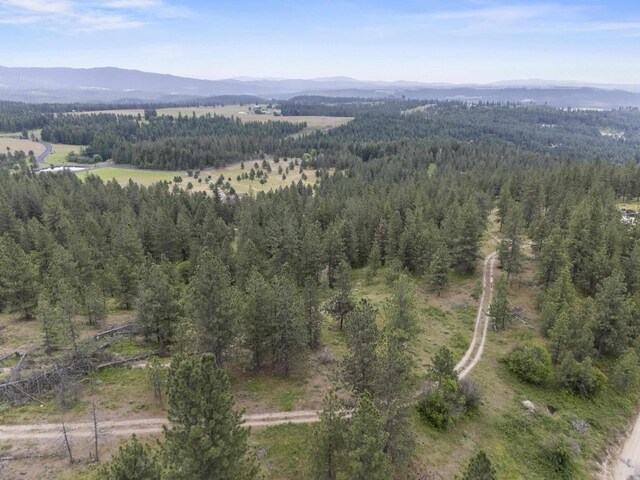 NNA N Jack Ln, Chattaroy, WA 99003 - photo 16