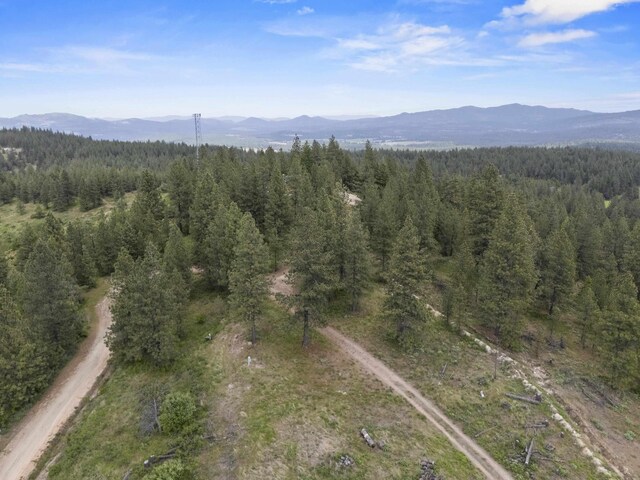 NNA N Jack Ln, Chattaroy, WA 99003 - photo 17