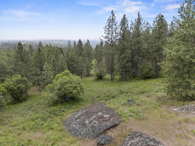 NNA N Jack Ln, Chattaroy, WA 99003 - photo 18