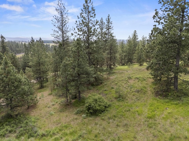 NNA N Jack Ln, Chattaroy, WA 99003 - photo 19