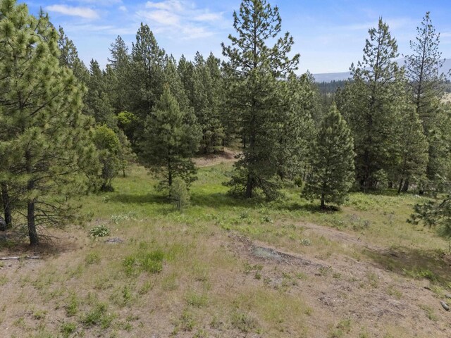 NNA N Jack Ln, Chattaroy, WA 99003 - photo 20