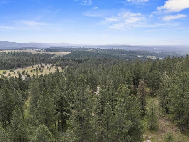 NNA N Jack Ln, Chattaroy, WA 99003 - photo 21