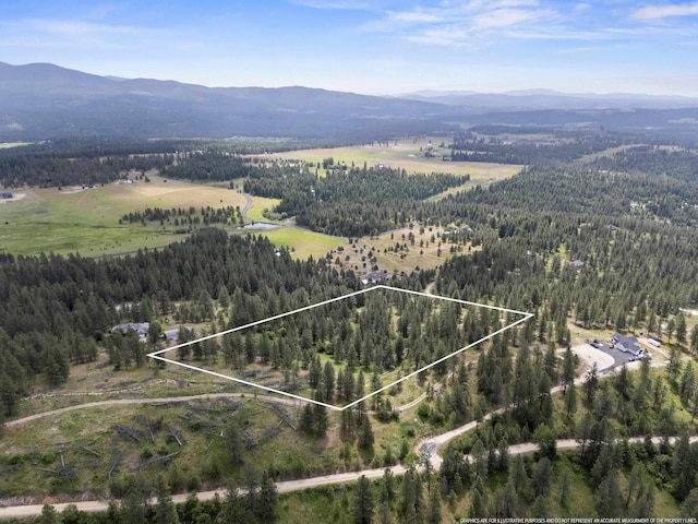NNA N Jack Ln, Chattaroy, WA 99003 - photo 4