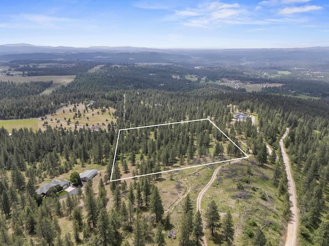 NNA N Jack Ln, Chattaroy, WA 99003 - photo 5