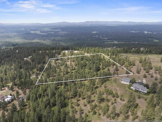 NNA N Jack Ln, Chattaroy, WA 99003 - photo 7