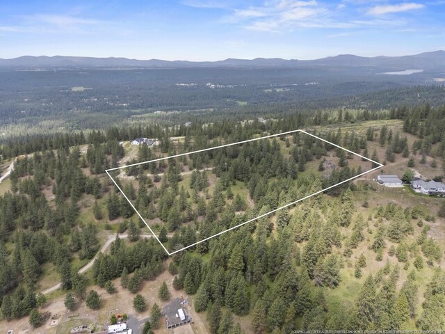 NNA N Jack Ln, Chattaroy, WA 99003 - photo 8