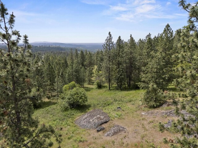 NNA N Jack Ln, Chattaroy, WA 99003 - photo 10