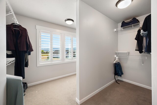 2309 S Fairmont Estates Dr, Greenacres, WA 99016 - photo 25