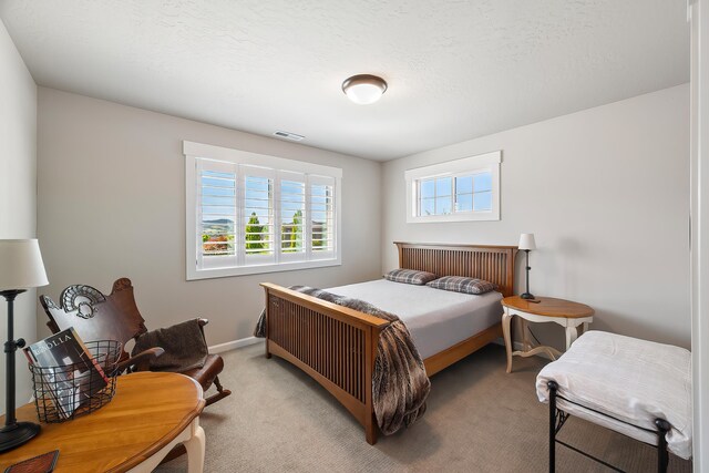 2309 S Fairmont Estates Dr, Greenacres, WA 99016 - photo 29