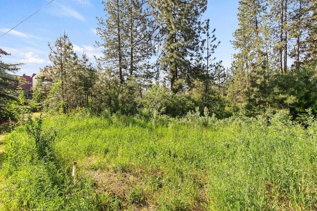1841 E Pinecrest Rd, Spokane, WA 99203 - photo 6