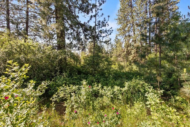 1841 E Pinecrest Rd, Spokane, WA 99203 - photo 7