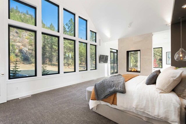 13858 N Boulder Park Ln, Spokane, WA 99208 - carpeted bedroom with baseboards and high vaulted ceiling