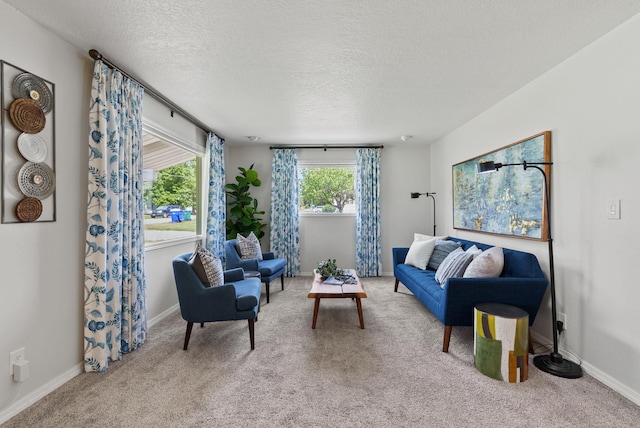 814 N Mamer Rd, Spokane Valley, WA 99216 - living area featuring carpet, a textured ceiling, and baseboards