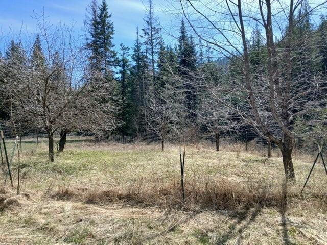 4224 C Grouse Creek Rd, Loon Lake, WA 99148 - photo 14
