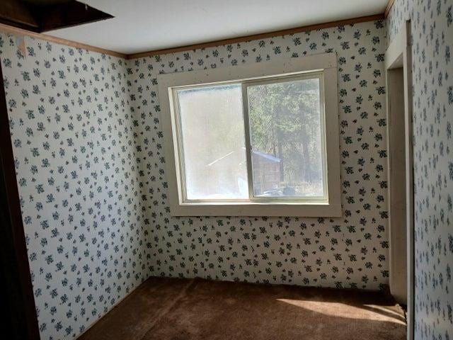 4224 C Grouse Creek Rd, Loon Lake, WA 99148 - photo 30