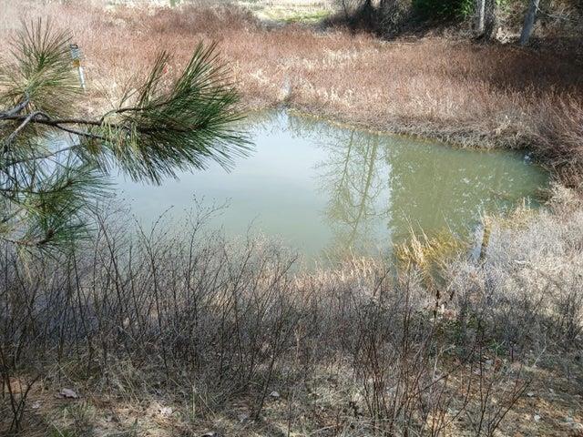 4224 C Grouse Creek Rd, Loon Lake, WA 99148 - photo 32