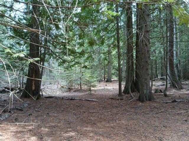 4224 C Grouse Creek Rd, Loon Lake, WA 99148 - photo 33