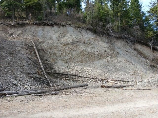 4224 C Grouse Creek Rd, Loon Lake, WA 99148 - photo 34