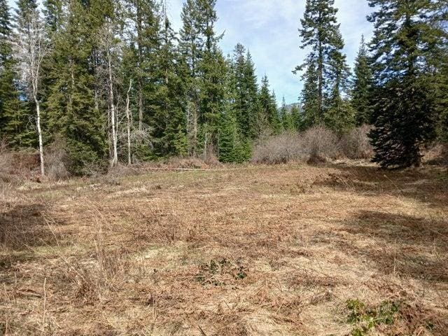 4224 C Grouse Creek Rd, Loon Lake, WA 99148 - photo 36
