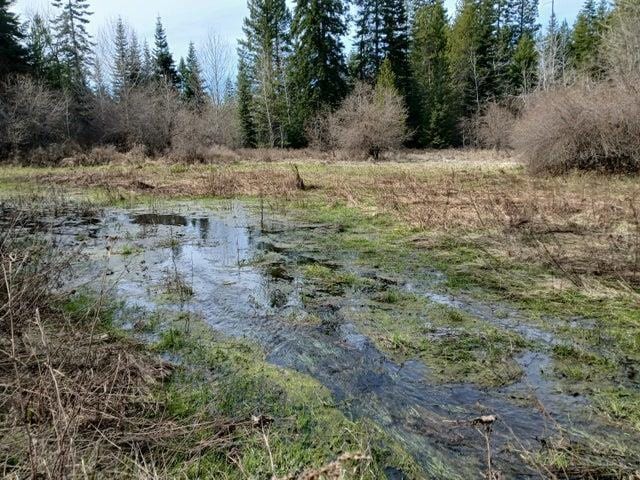 4224 C Grouse Creek Rd, Loon Lake, WA 99148 - photo 37