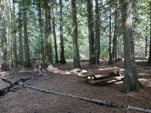 4224 C Grouse Creek Rd, Loon Lake, WA 99148 - photo 39