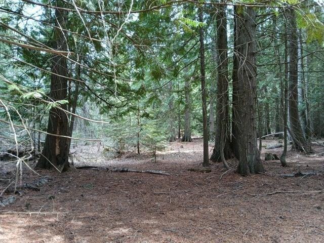 4224 C Grouse Creek Rd, Loon Lake, WA 99148 - photo 40