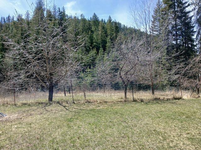 4224 C Grouse Creek Rd, Loon Lake, WA 99148 - photo 5
