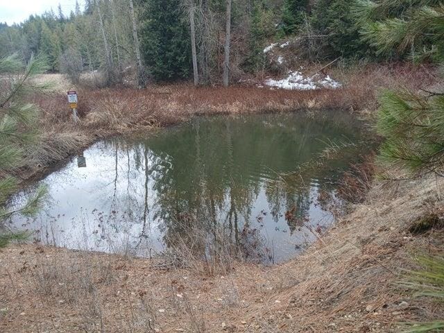 4224 C Grouse Creek Rd, Loon Lake, WA 99148 - photo 42