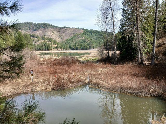 4224 C Grouse Creek Rd, Loon Lake, WA 99148 - photo 6