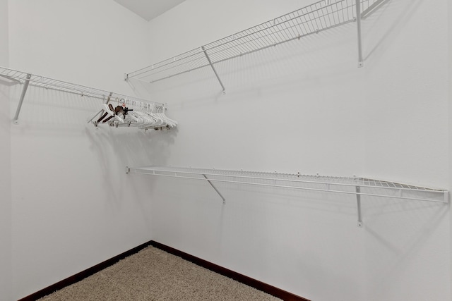 3260 W Magistrate Loop, Hayden, ID 83835 - walk in closet with carpet