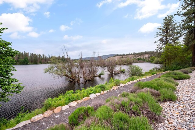 12407 N Nine Mile Rd, Nine Mile Falls, WA 99026 - photo 35
