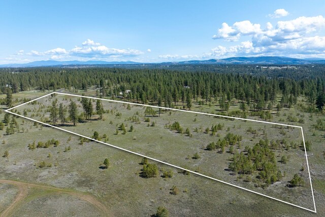 5101 W Morning Ln, Spokane, WA 99224 - photo 37