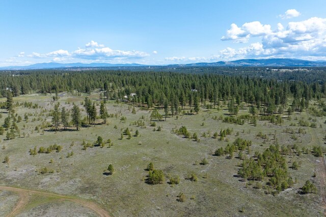 5101 W Morning Ln, Spokane, WA 99224 - photo 38