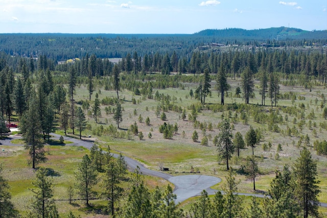 5101 W Morning Ln, Spokane, WA 99224 - photo 41