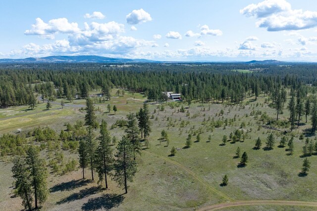 5101 W Morning Ln, Spokane, WA 99224 - photo 44