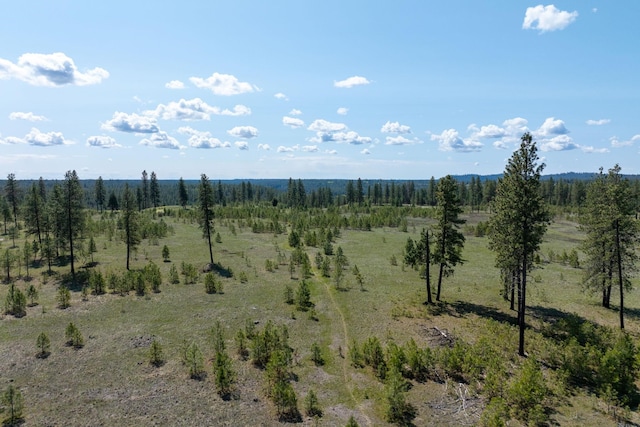 5101 W Morning Ln, Spokane, WA 99224 - photo 45