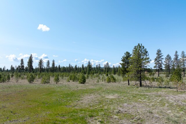 5101 W Morning Ln, Spokane, WA 99224 - photo 47