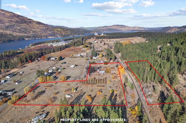 1306 Peachcrest Rd, Kettle Falls, WA 99141 - drone / aerial view of a water and mountain view and a forest