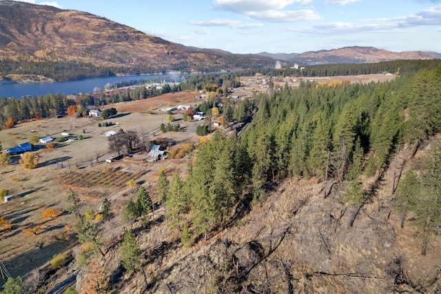 1306 Peachcrest Rd, Kettle Falls, WA 99141 - mountain view featuring a large body of water and a forest