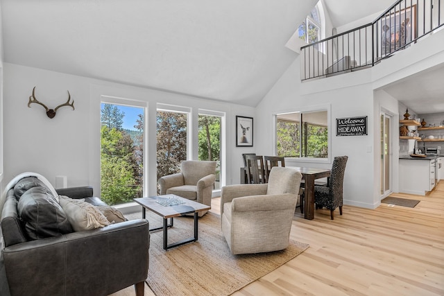 12916 N Newman St, Newman Lake, WA 99025 - living area featuring healthy amount of natural light, light wood-style flooring, high vaulted ceiling, and baseboards