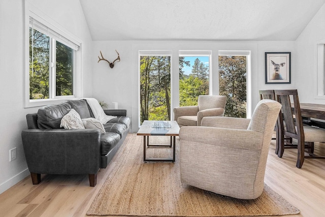 12916 N Newman St, Newman Lake, WA 99025 - living room featuring vaulted ceiling and light wood finished floors
