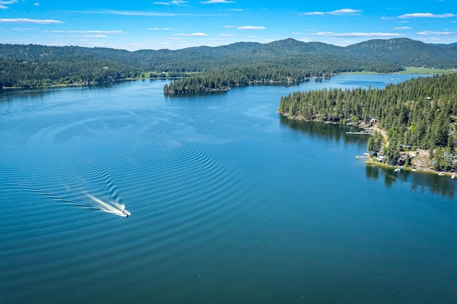 12916 N Newman St, Newman Lake, WA 99025 - bird's eye view of a heavily wooded area and a water and mountain view