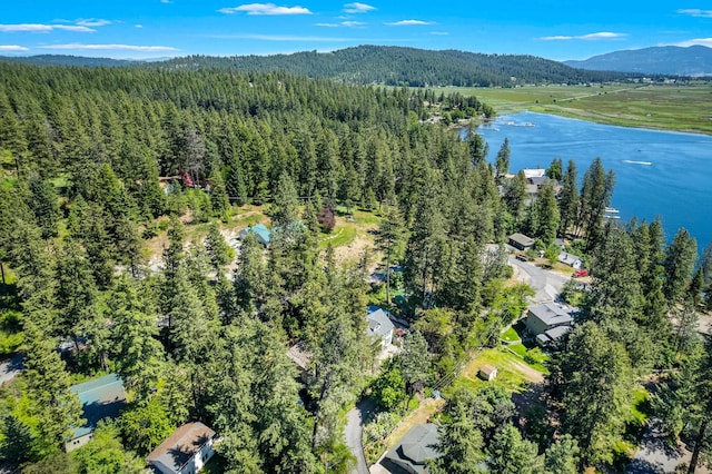 12916 N Newman St, Newman Lake, WA 99025 - aerial view of a heavily wooded area and a water and mountain view