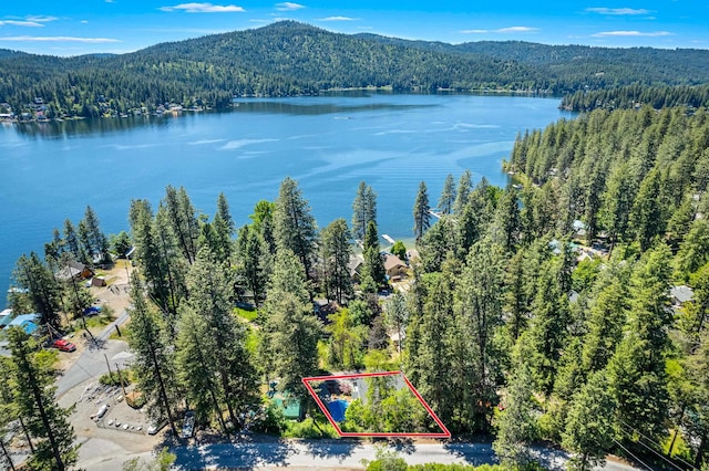 12916 N Newman St, Newman Lake, WA 99025 - aerial view of property's location with a heavily wooded area, property boundaries highlighted, and a water and mountain view