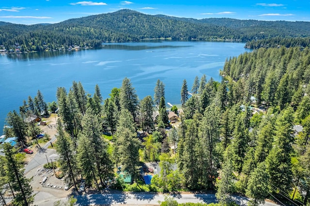 12916 N Newman St, Newman Lake, WA 99025 - aerial view of a heavily wooded area and a water and mountain view