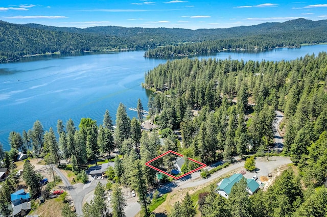 12916 N Newman St, Newman Lake, WA 99025 - aerial overview of property's location featuring a heavily wooded area, property boundaries highlighted, and a water and mountain view